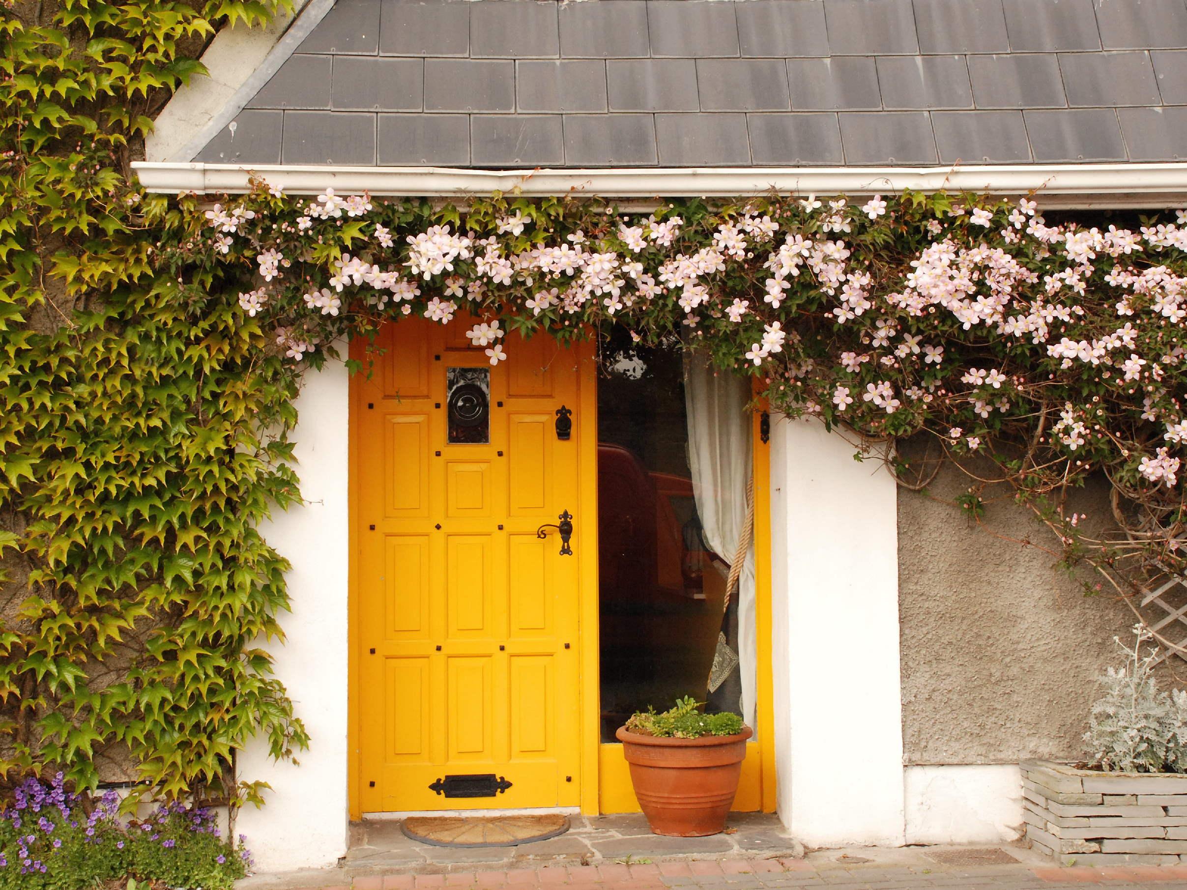 The most Instagrammed front door colours