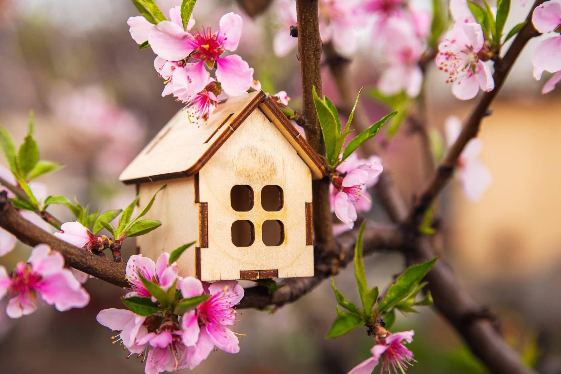 Records show busiest spring property market in 10 years