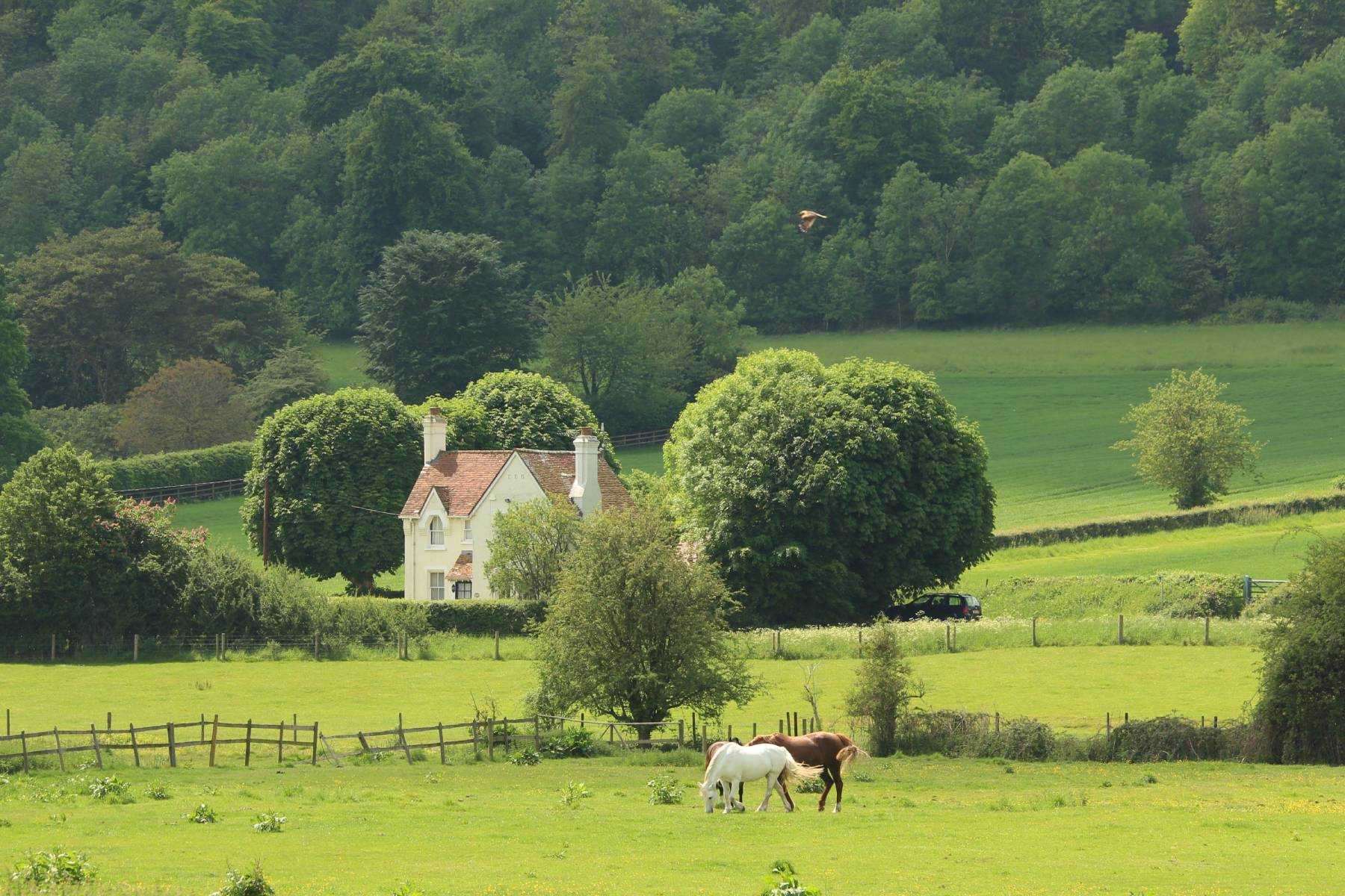 Equestrian Property: A Buyer’s Guide