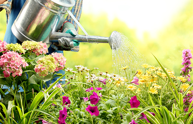 Does a Garden Add Value to Your Buy-to-Let Property?